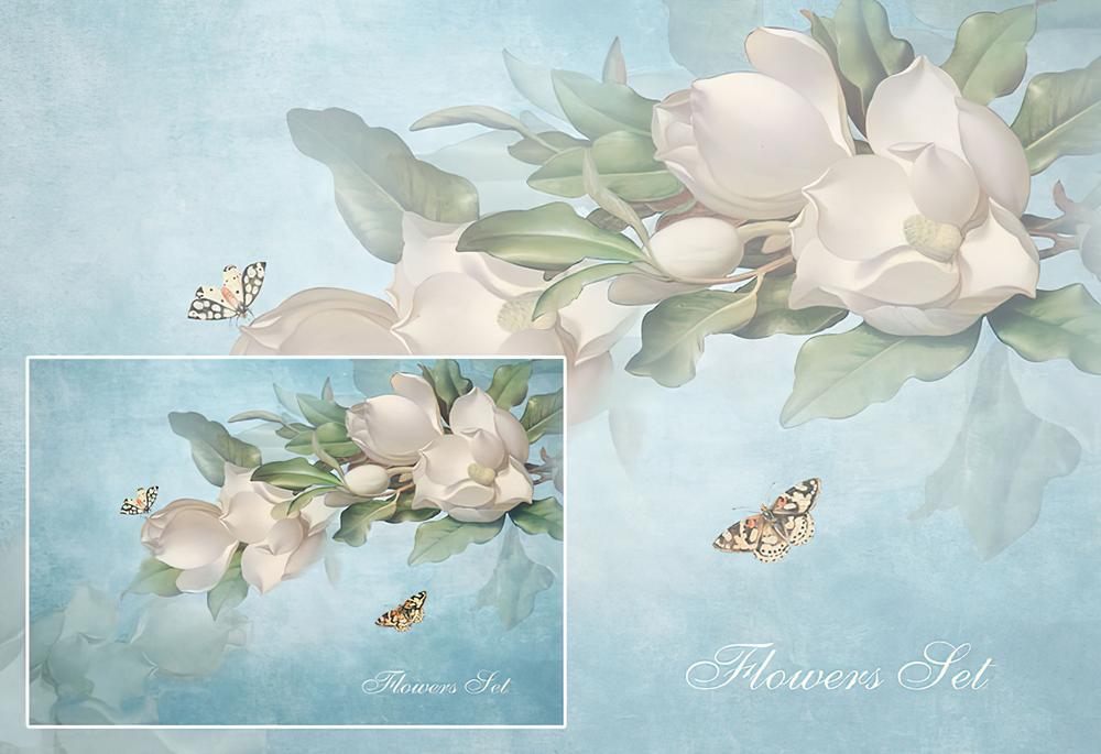 Fototapeta magnolia białe niebieska