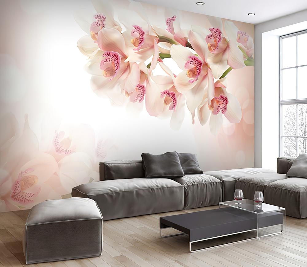 Fototapeta orchidea różowa