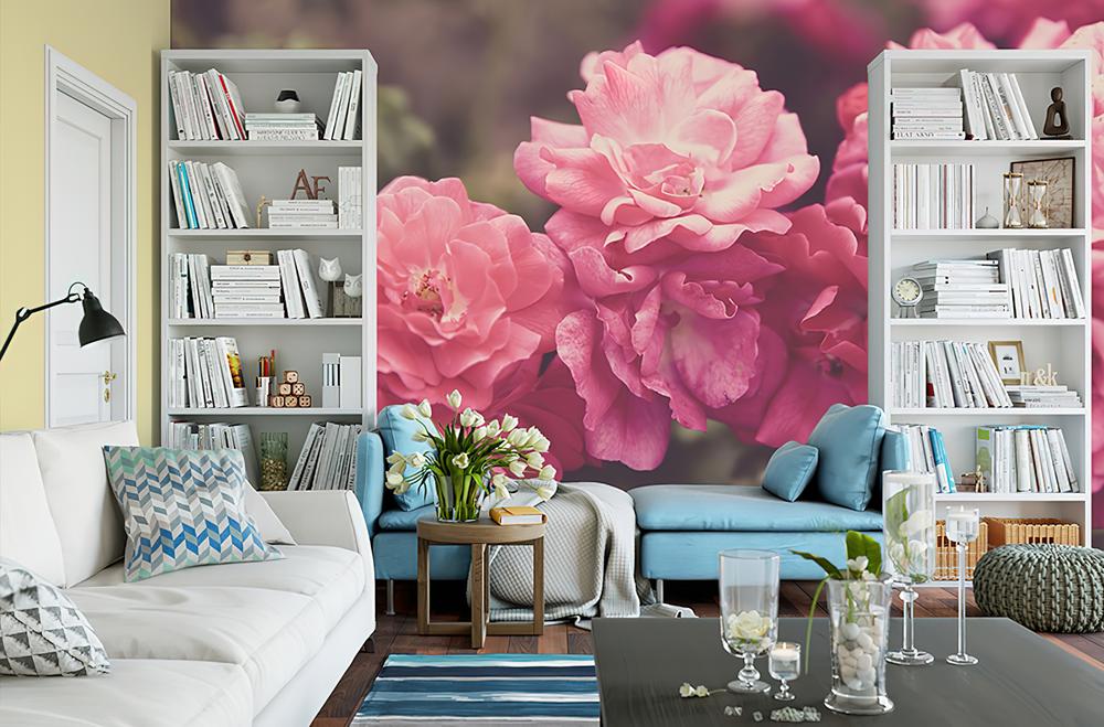 Fototapeta peonie różowe