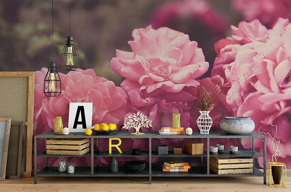 Fototapeta peonie różowe