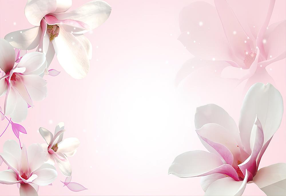 Fototapeta magnolia biała różowa