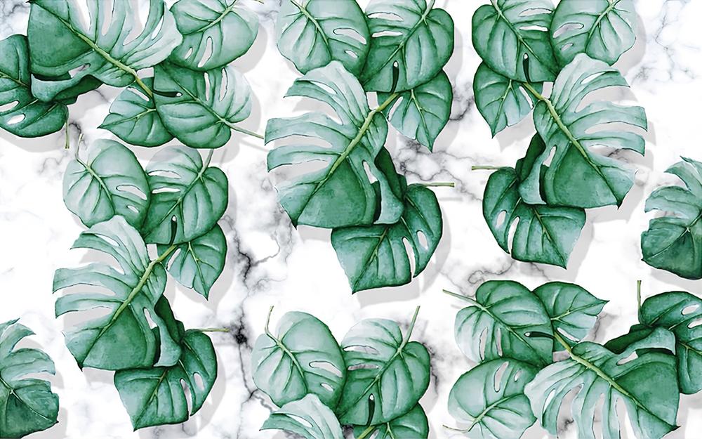 Fototapeta monstera marmurowy