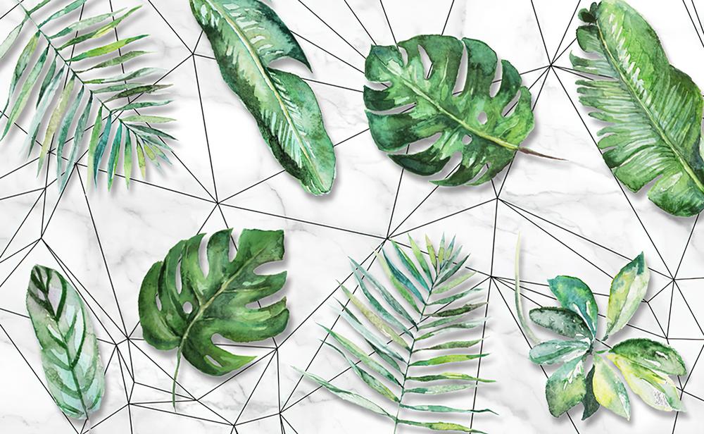 Fototapeta duże liście geometryczne