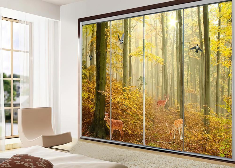 Fototapeta las sęki jesień
