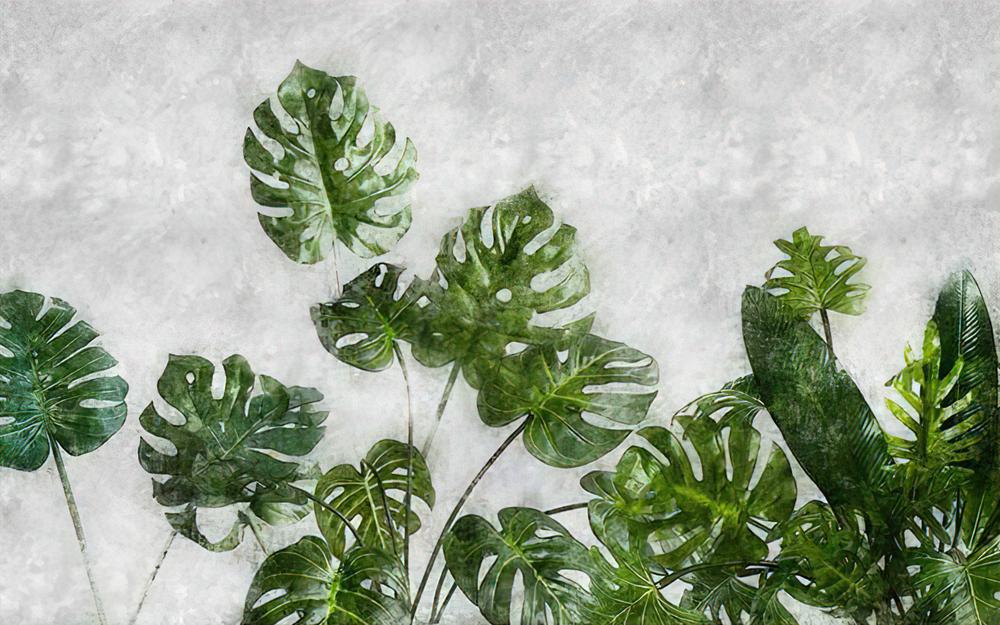 Fototapeta karczma monstera