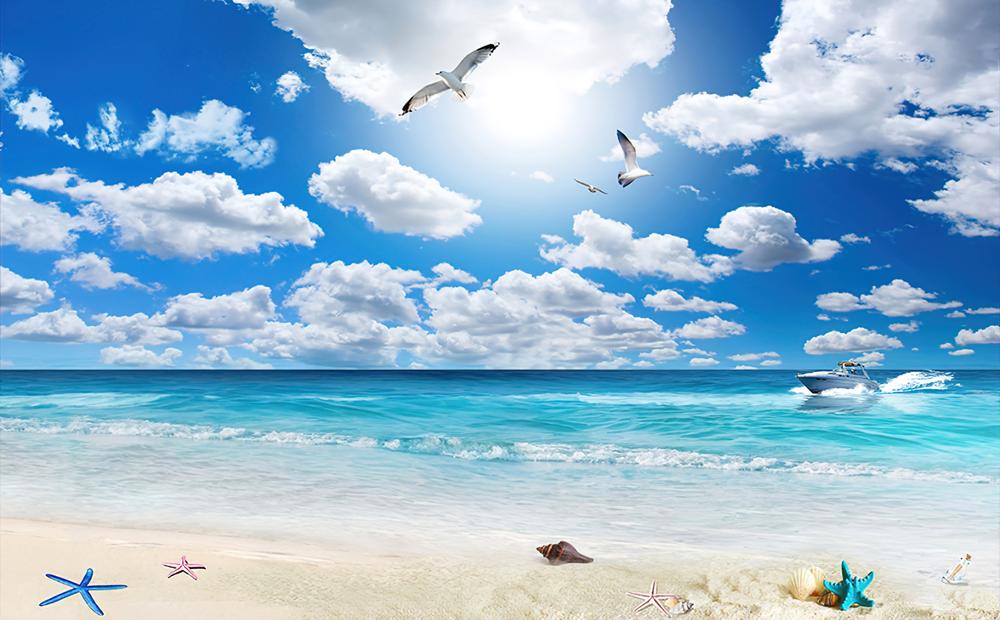 Fototapeta plaża septyki