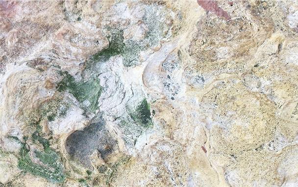 Fototapeta naturalne skale bielisty zielony