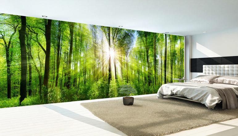 Fototapeta las gęsty światło