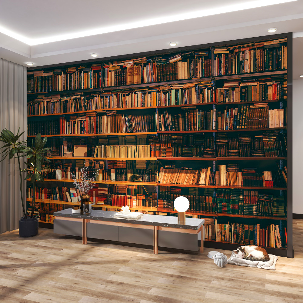 Fototapeta starej biblioteki