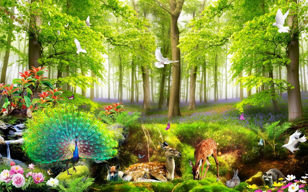 Fototapeta fauna zielonego letniego lasu
