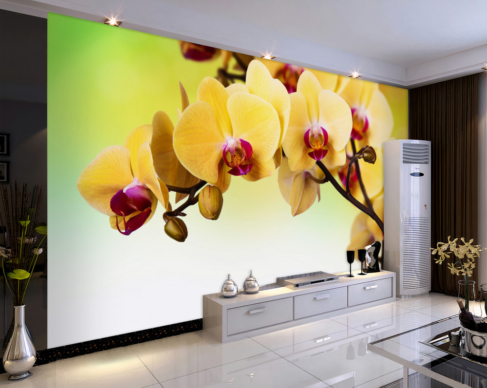 Fototapeta kwitnąca żółta ramka orchidei