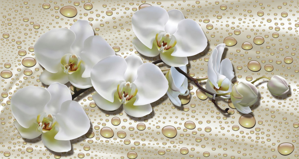 Fototapeta biała ramka orchidei po deszczu na jedwabiu