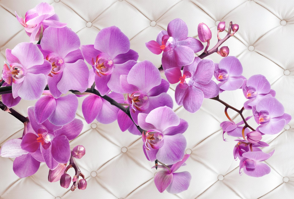 Fototapeta liliowe gałęzie orchidei na fakturze