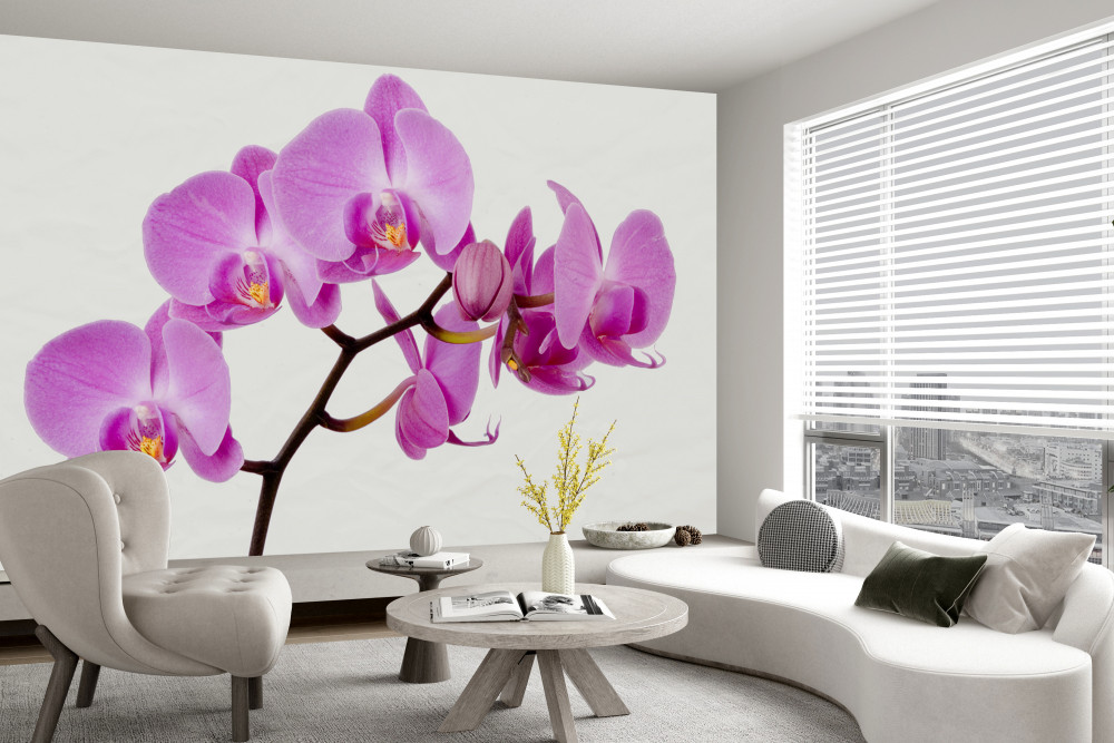 Fototapeta Afrodyta z fioletowej orchidei
