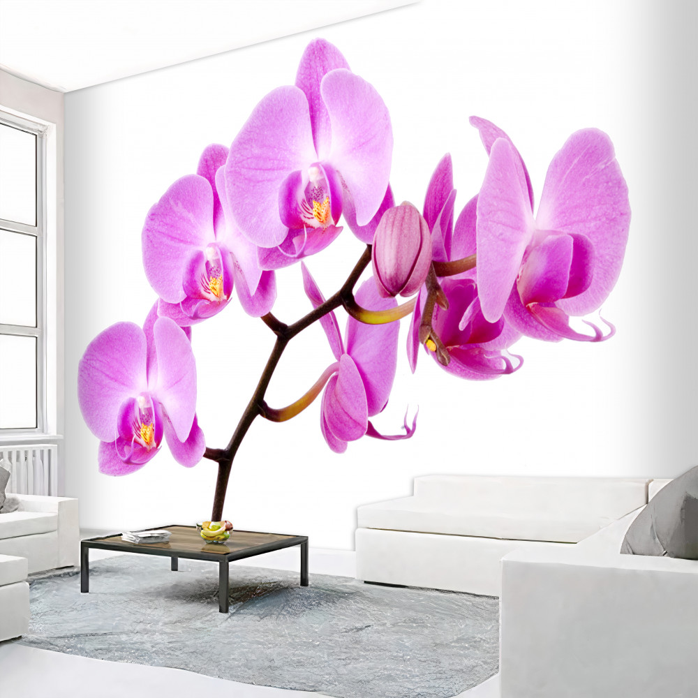 Fototapeta Afrodyta z fioletowej orchidei