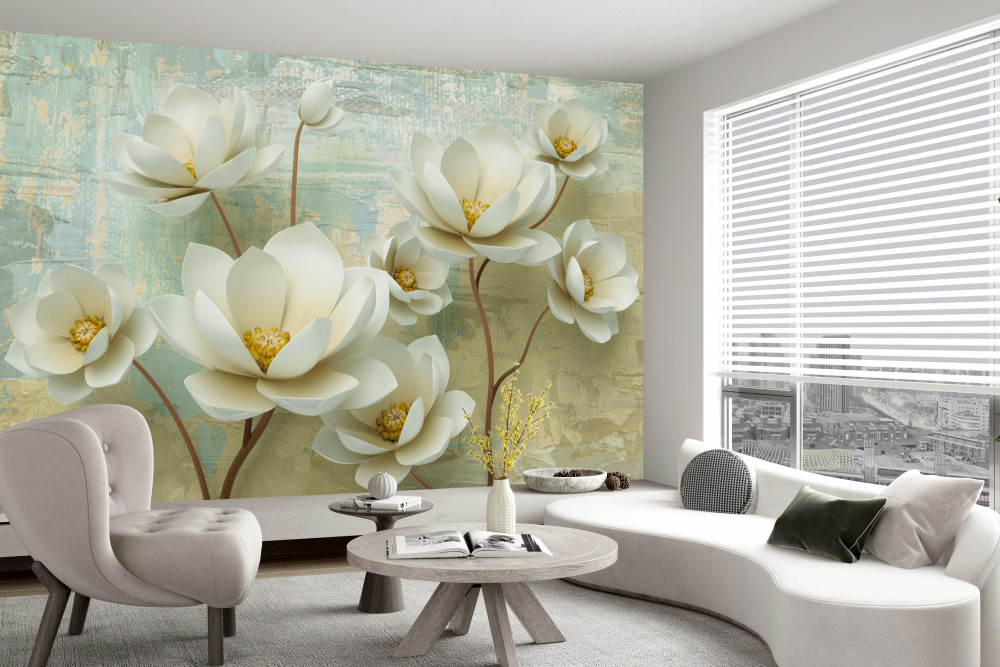 Fototapeta kwitnące białe gałęzie magnolii