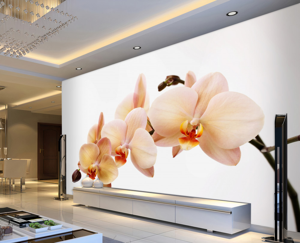 Fototapeta samotna gałąź orchidei brzoskwiniowej