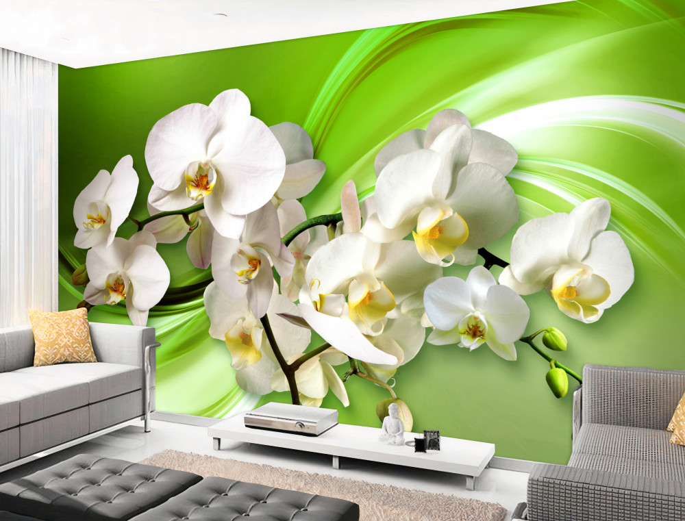 Fototapeta białe orchidee na gałęzi na zielonym tle
