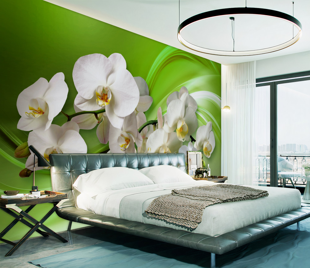 Fototapeta białe orchidee na gałęzi na zielonym tle