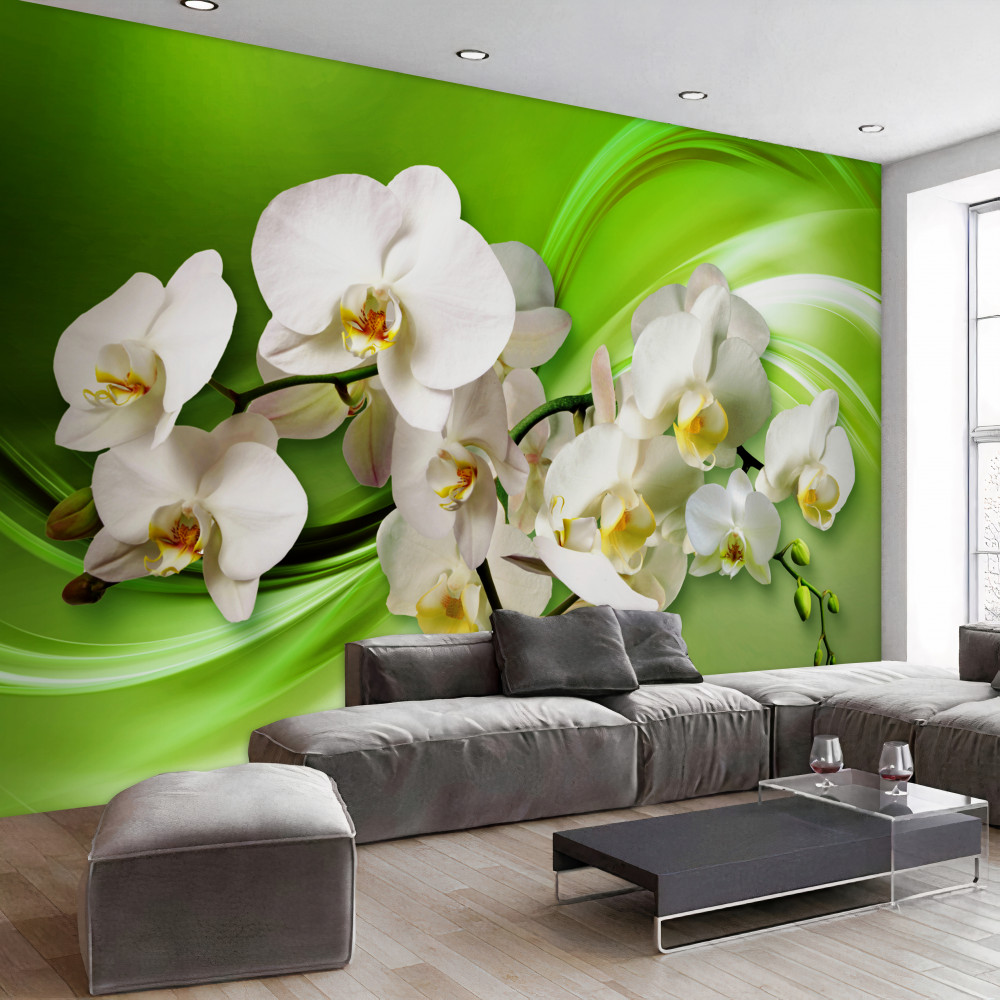 Fototapeta białe orchidee na gałęzi na zielonym tle