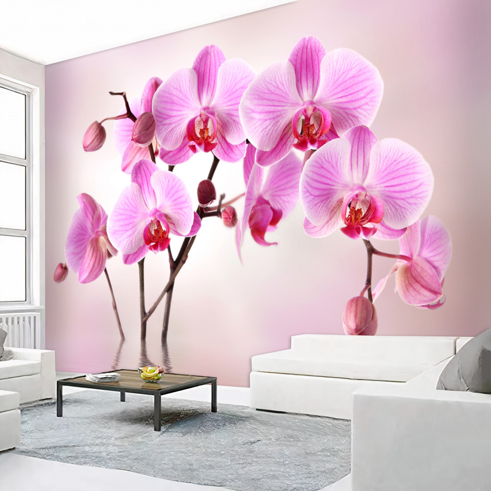 Fototapeta gałęzie liliowej orchidei nad wodą