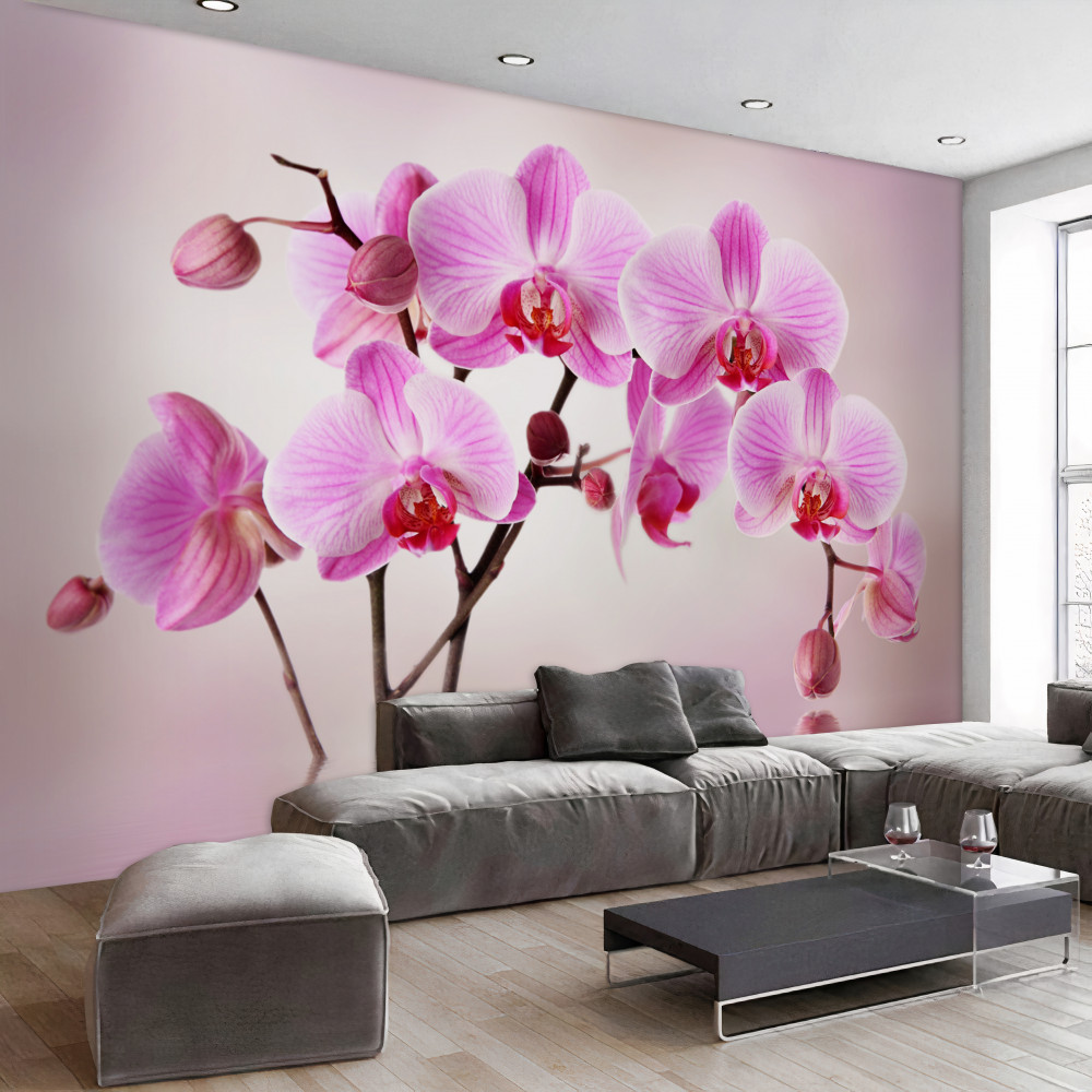 Fototapeta gałęzie liliowej orchidei nad wodą