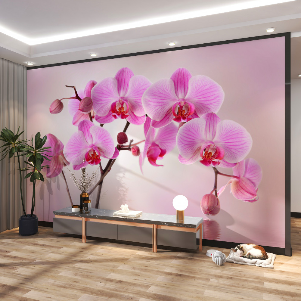 Fototapeta gałęzie liliowej orchidei nad wodą