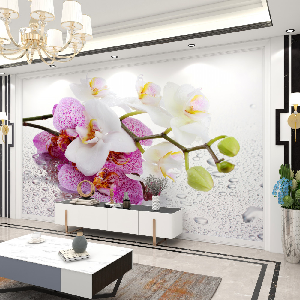 Fototapeta gałęzie białych i liliowych orchidei w kroplach rosy