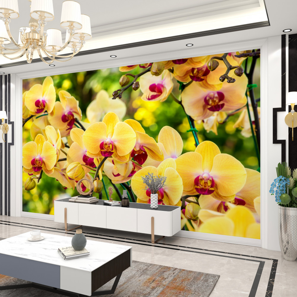 Fototapeta żółte orchidee w letnim ogrodzie