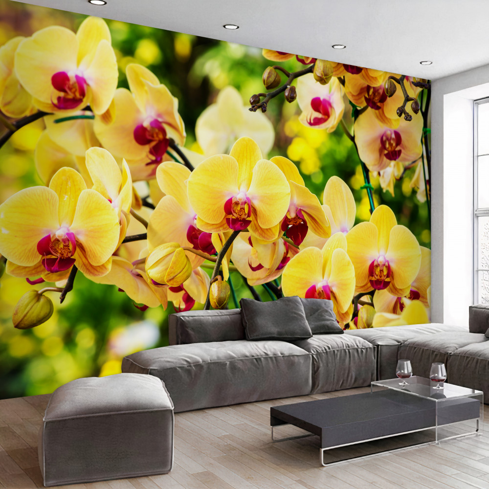 Fototapeta żółte orchidee w letnim ogrodzie