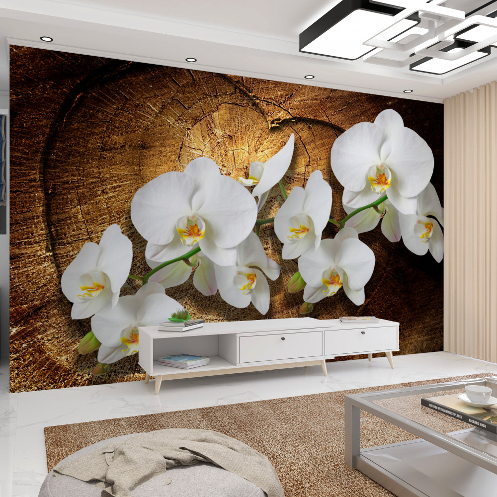 Fototapeta biała orchidea na kłodzie