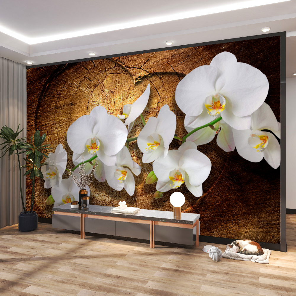 Fototapeta biała orchidea na kłodzie