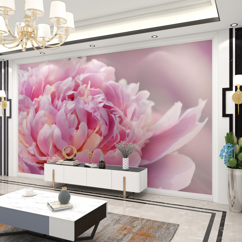 Fototapeta zbliżenie piwonii lactiflora