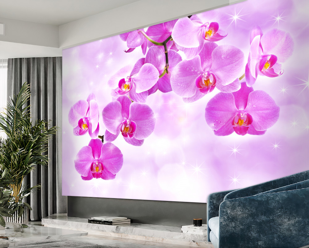 Fototapeta liliowa orchidea kwaśnieje
