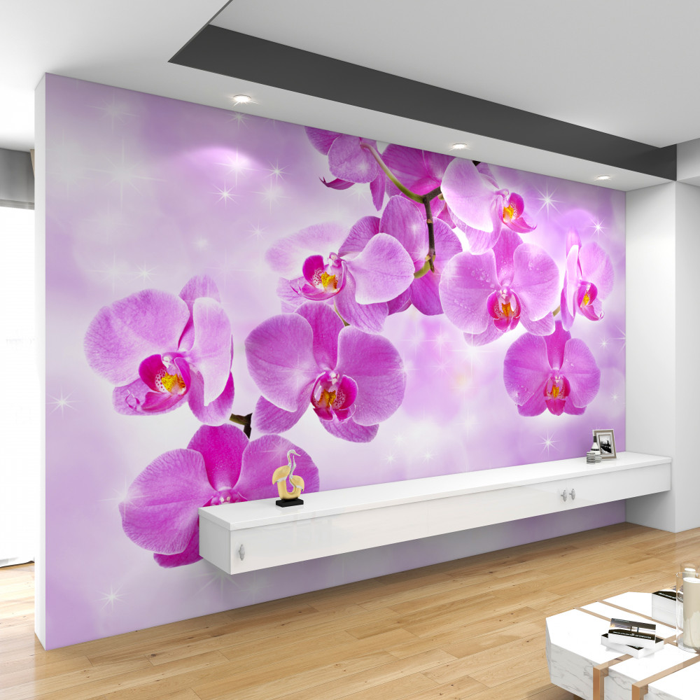 Fototapeta liliowa orchidea kwaśnieje