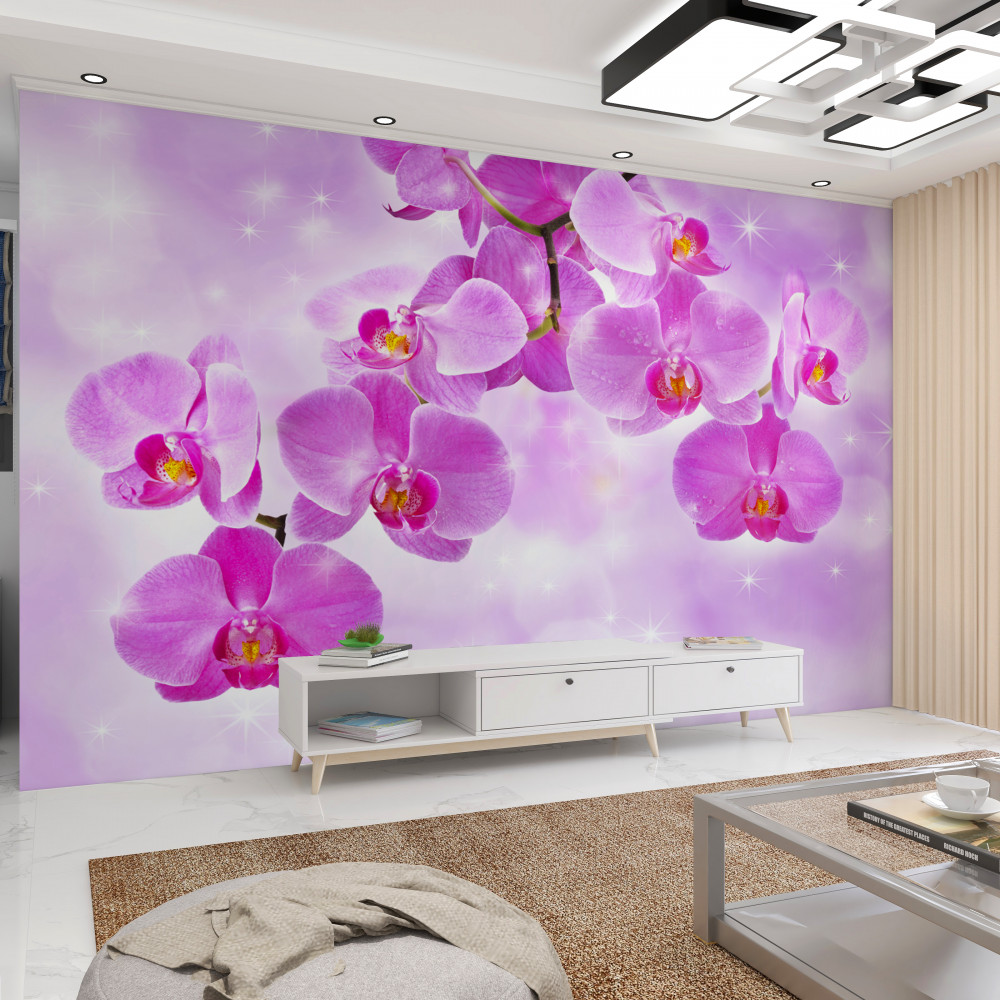 Fototapeta liliowa orchidea kwaśnieje