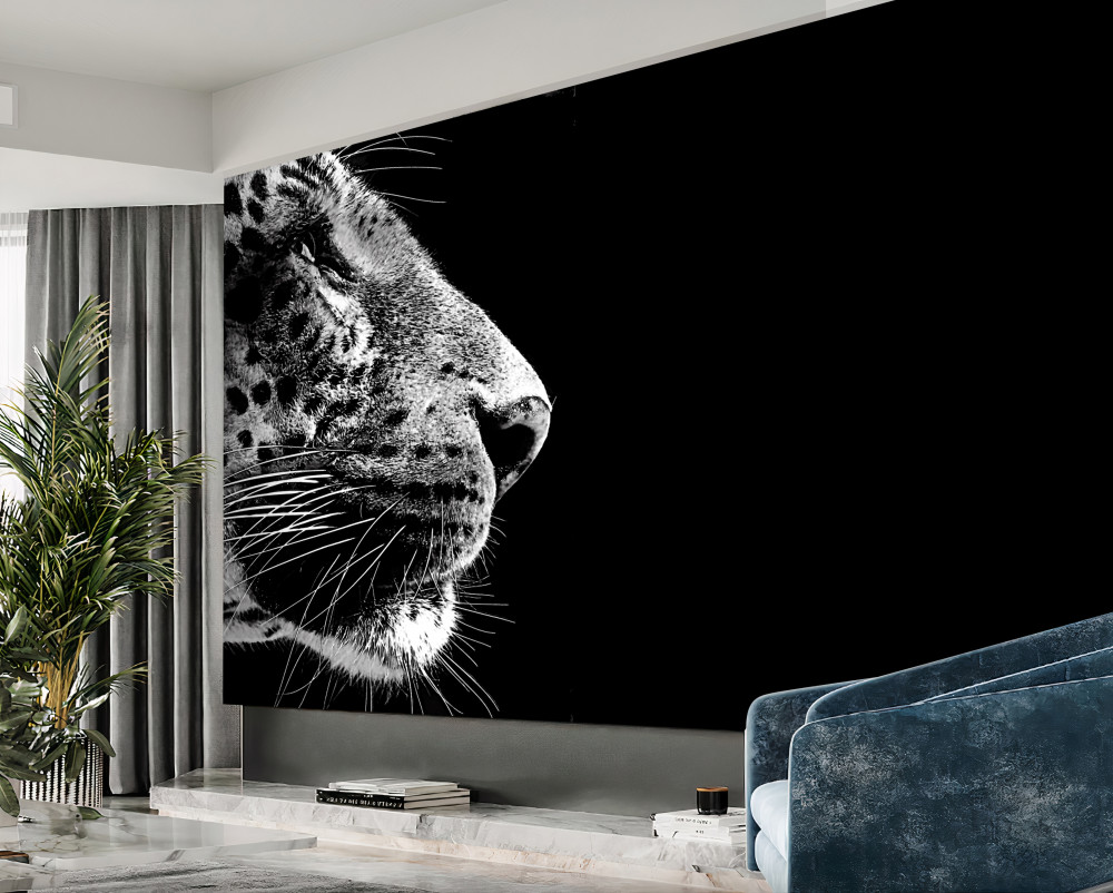 Fototapeta czarno-biały jaguar