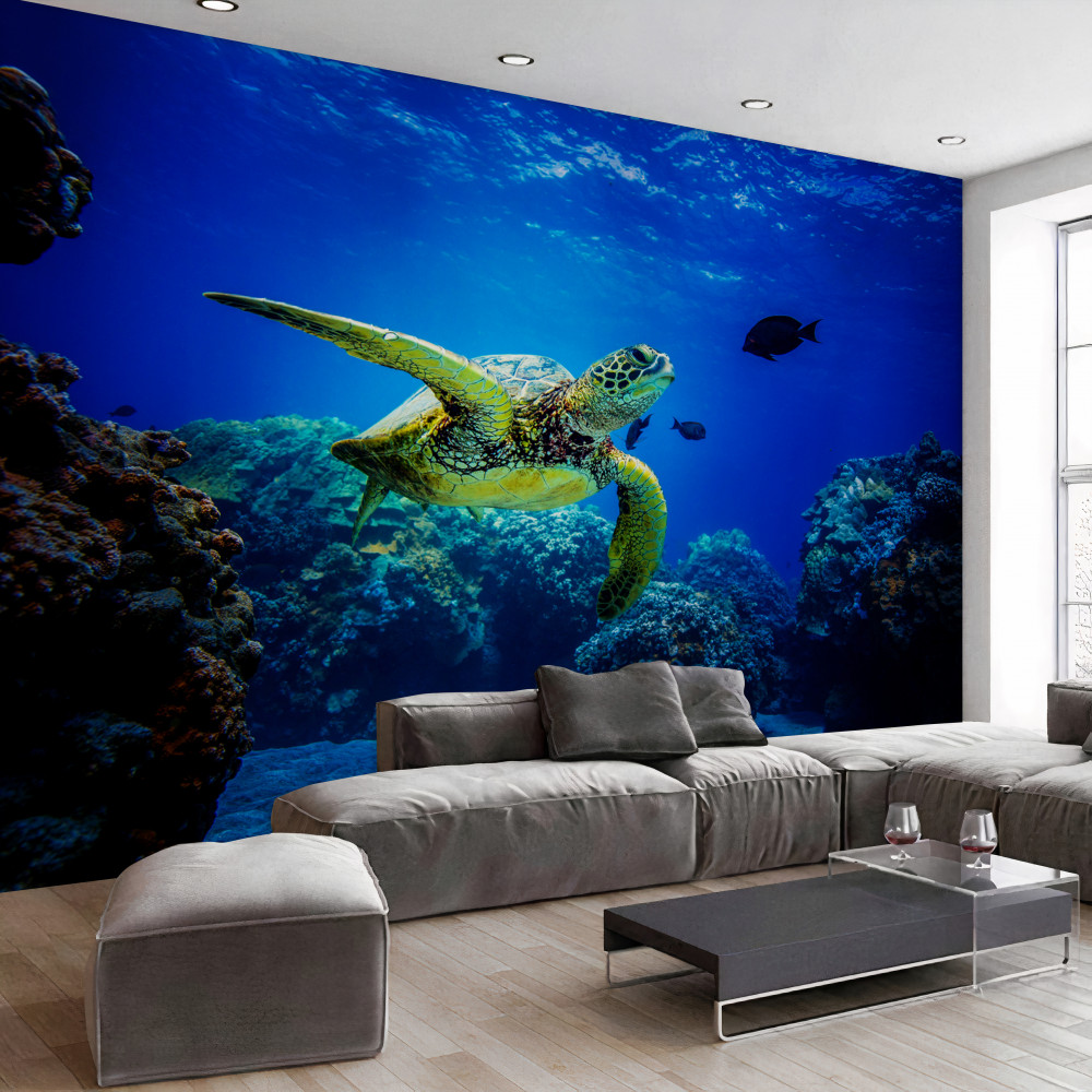 Fototapeta zielony żółw w oceanie