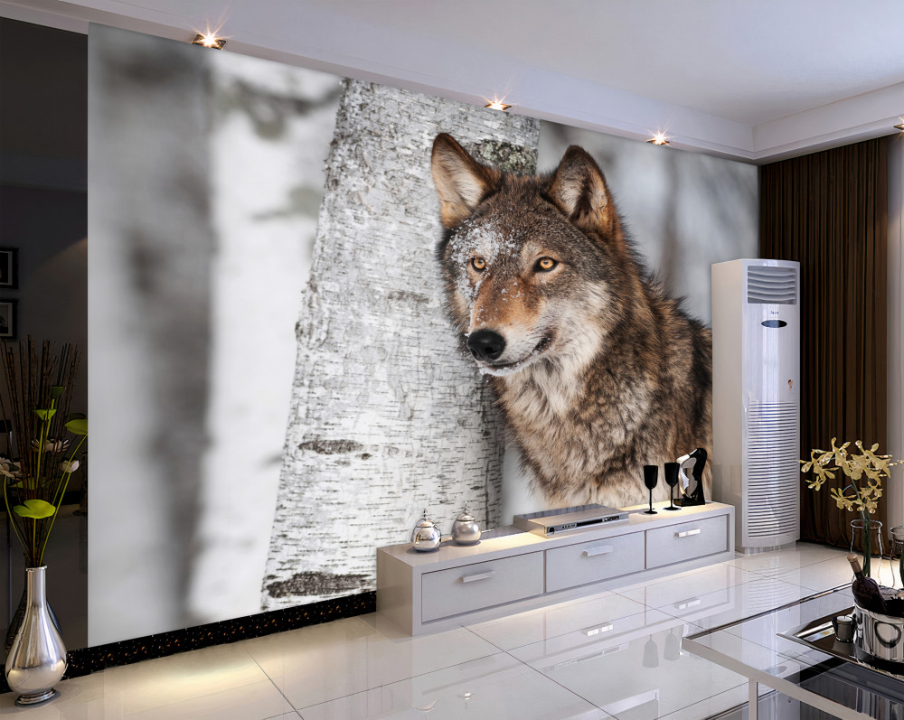 Fototapeta brązowy wilk czai się w pobliżu brzozy