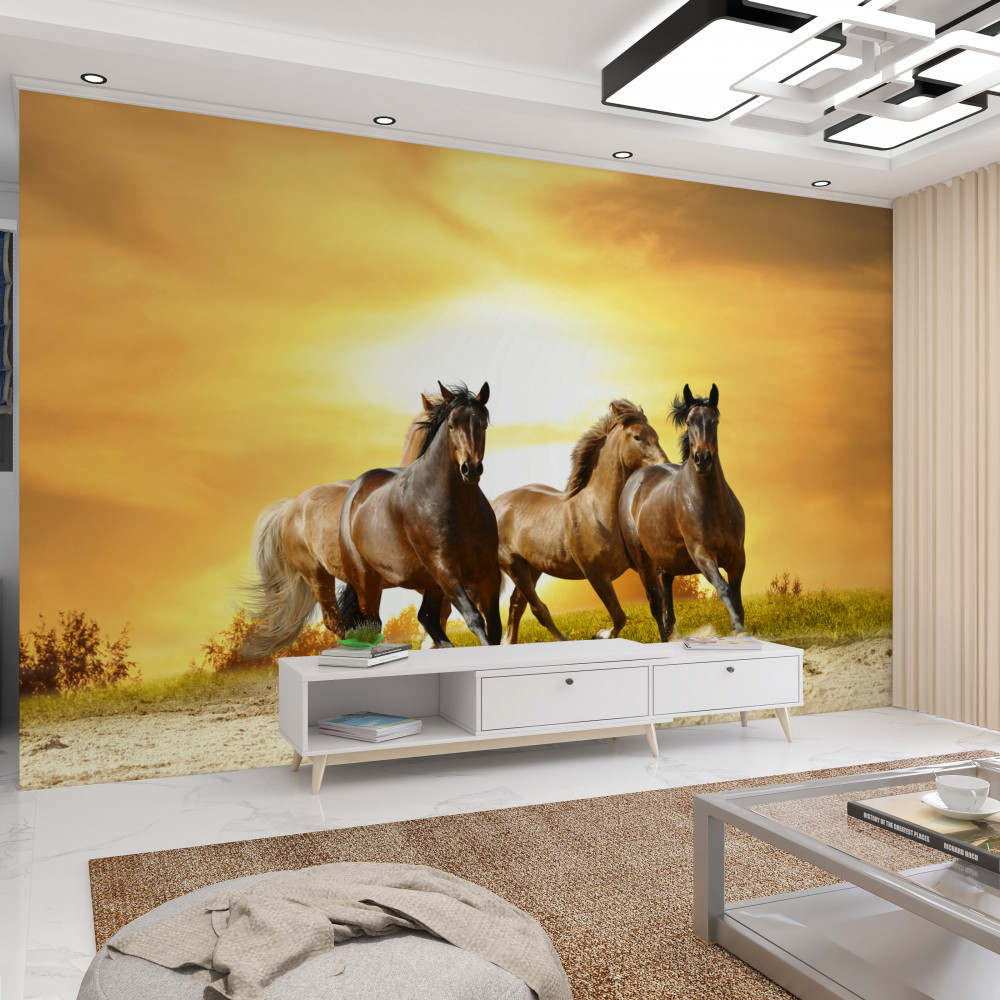 Fototapeta konie biegną na zachód