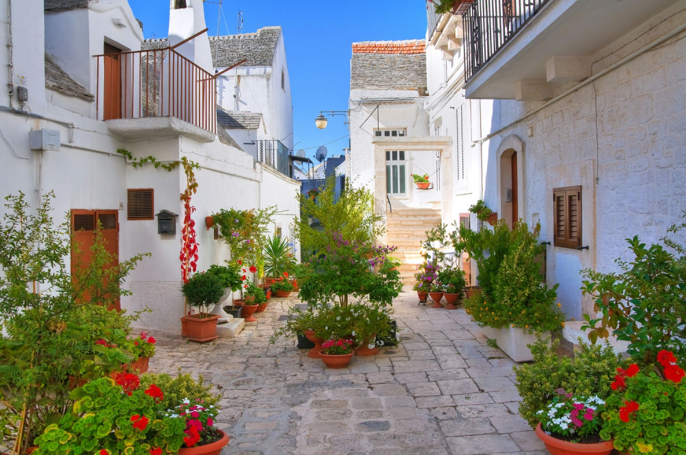 Fototapeta zielone ulice Santorini