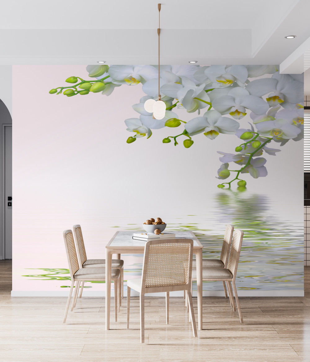 Fototapeta śnieżnobiałe kwiaty orchidei o świcie