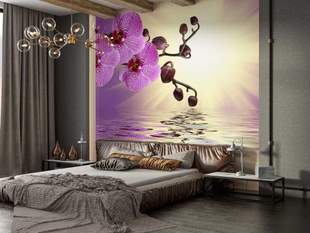 Fototapeta orchidea odbicie w wodzie