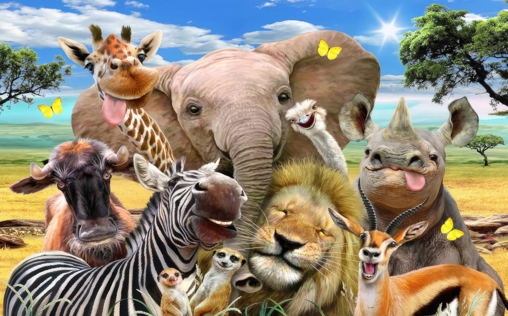 Fototapeta Przyjazne Afryce selfie