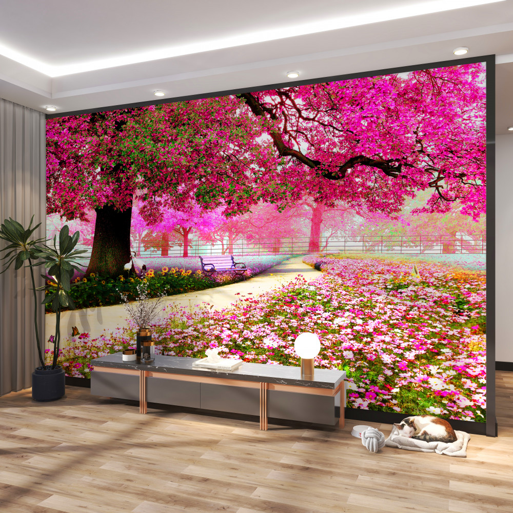 Fototapeta stara kwitnąca różowa sakura
