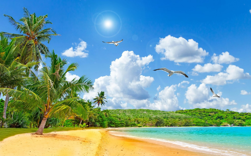 Fototapeta słoneczna plaża na tropikalnej wyspie