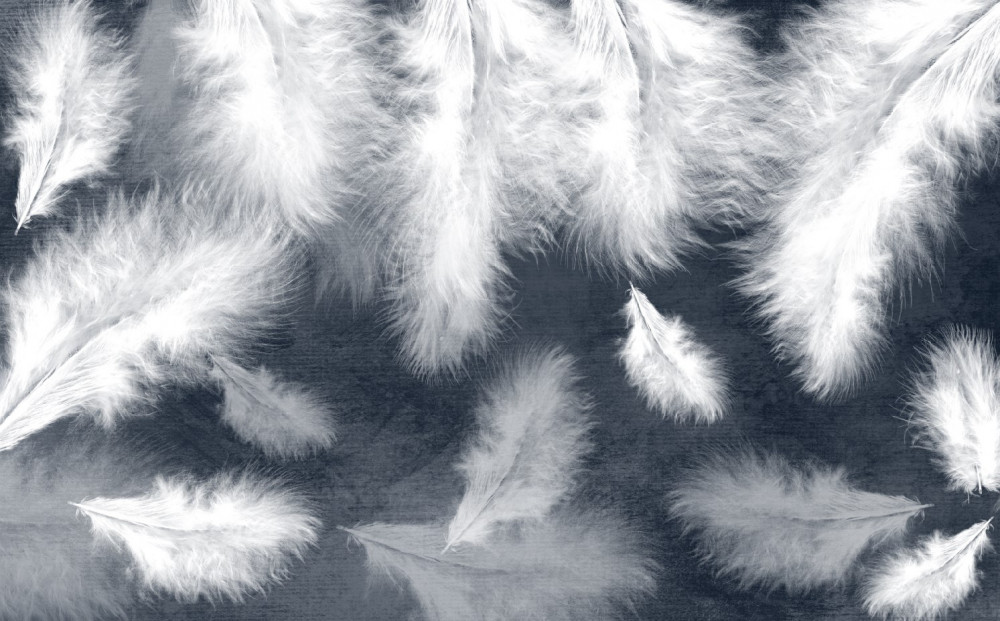 Fototapeta puszyste białe pióra powietrzne