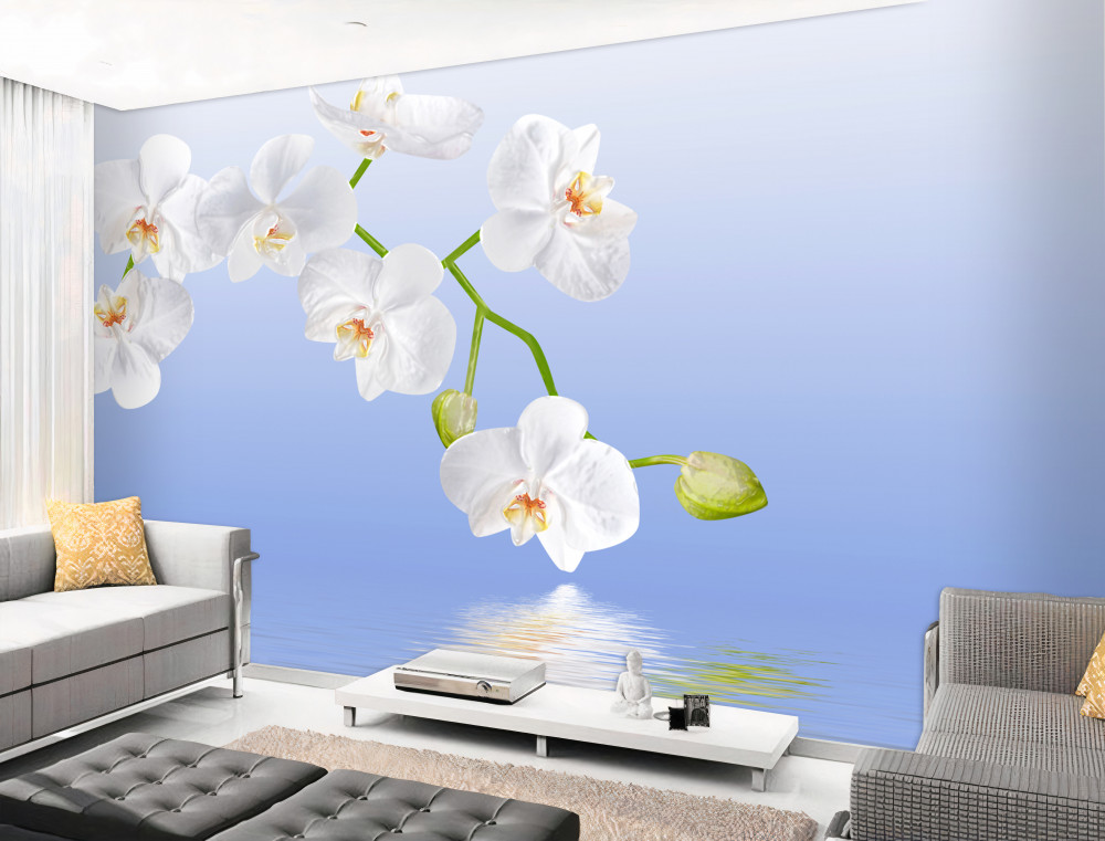 Fototapeta biała orchidea nad wodą