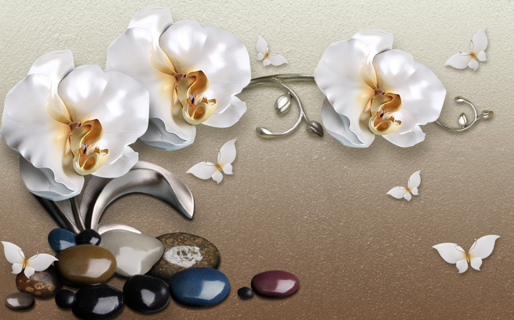 Fototapeta białe orchidee przedostają się przez kamienie