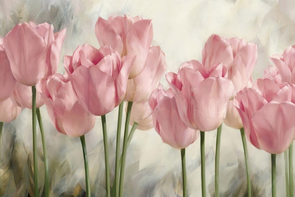 Fototapeta delikatne różowe tulipany